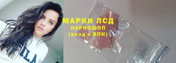 спайс Аркадак