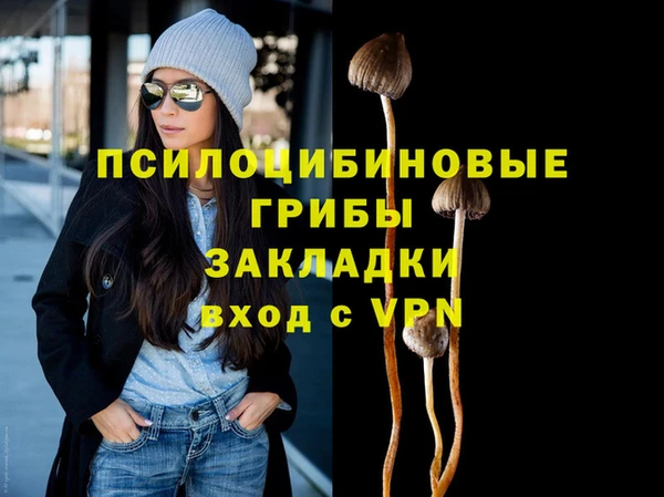 соль курить ск Арсеньев