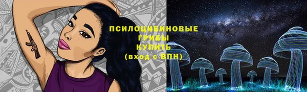 спайс Аркадак