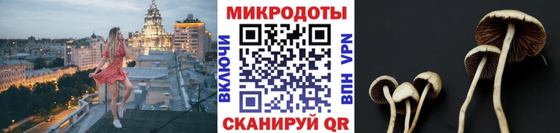 Псилоцибиновые грибы мицелий  Купить где  Мценск 